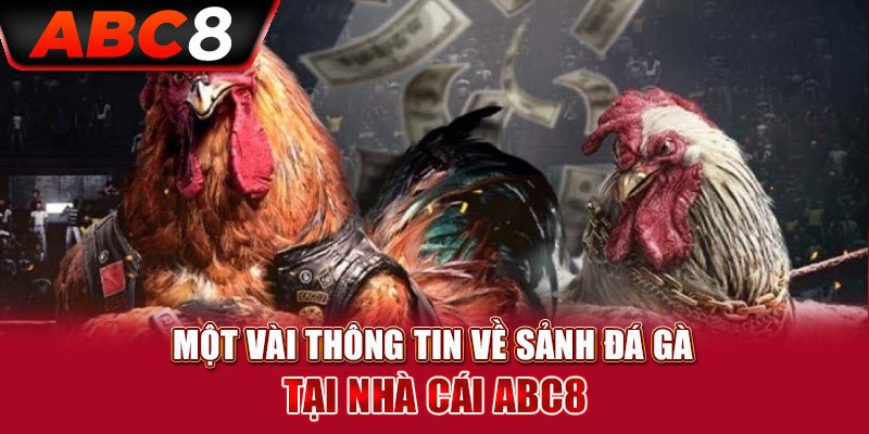 Thông tin về game đá gà ABC8 online hiện nay